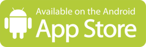 Display android app store logo 1024x334