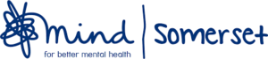 Display mind somerset logo