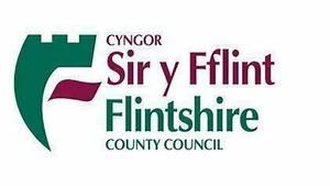 Display flintshire council